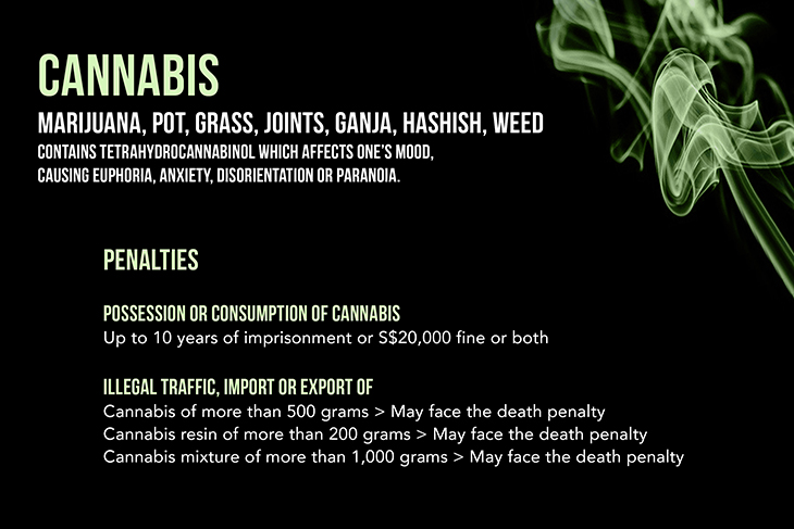 Cannabis Cannabis